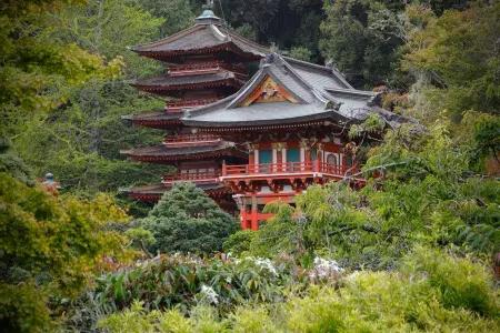Jardim de chá japonês